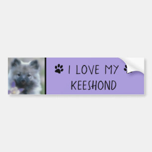 Keeshond en Columbine Bumpersticker