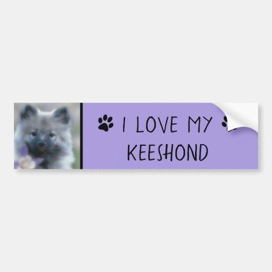 Keeshond en Columbine Bumpersticker (Voorkant)