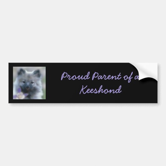 Keeshond en Columbine Bumpersticker (Voorkant)