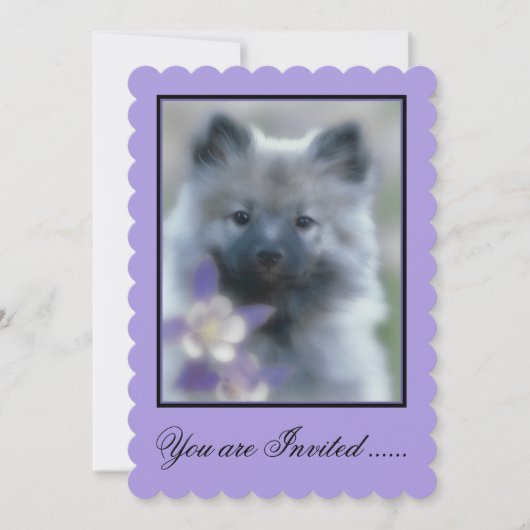 Keeshond en Columbine Kaart (Voorkant)