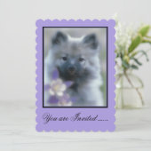 Keeshond en Columbine Kaart (Staand voorkant)