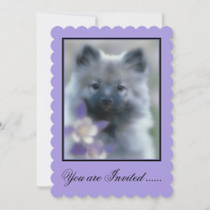 Keeshond en Columbine Kaart