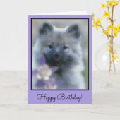 Keeshond en Columbine Kaart (Gele Bloem)