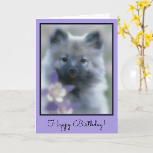 Keeshond en Columbine Kaart (Gele Bloem)