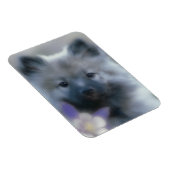 Keeshond en Columbine Magneet (Rechterzijde)