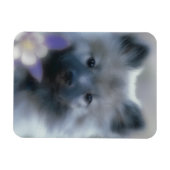 Keeshond en Columbine Magneet (Horizontaal)