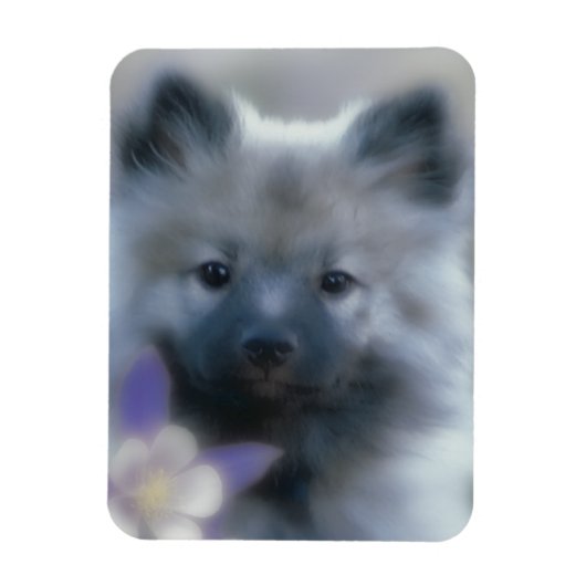 Keeshond en Columbine Magneet (Verticaal)