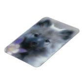 Keeshond en Columbine Magneet (Linkerzijde)