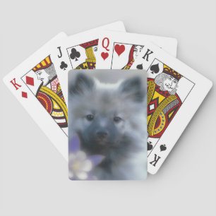 Keeshond en Columbine Pokerkaarten