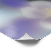 Keeshond en Columbine Poster (Hoek)