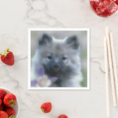 Keeshond en Columbine Servet (Insitu)