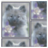 Keeshond en Columbine Stof (Close Up)
