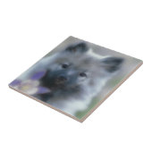 Keeshond en Columbine Tegeltje (Zijkant)