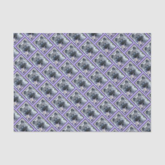 Keeshond en Columbine Tissuepapier (Voorkant)