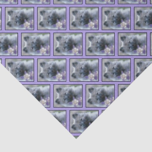 Keeshond en Columbine Tissuepapier (Detail)