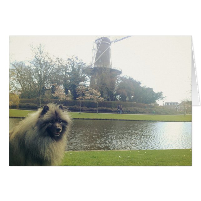 Keeshond en Windmill (Voorkant Horizontaal)