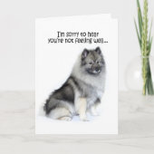 Keeshond Get Well Card Kaart (Voorkant)