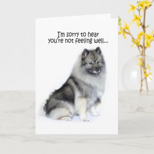 Keeshond Get Well Card Kaart (Gele Bloem)