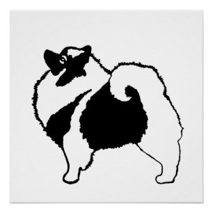 Keeshond Graphics - Cute Original Dog Art Perfect Poster