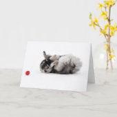 Keeshond Greeting Card Kaart (Gele Bloem)