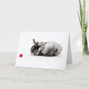 Keeshond Greeting Card Kaart