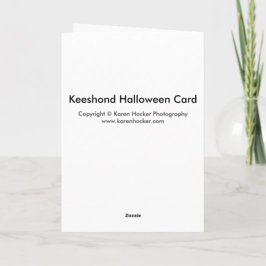 Keeshond Halloween Kaart (Achterkant)