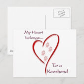 Keeshond Hart behoort Briefkaart (Voorkant / Achterkant)