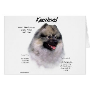 Keeshond History Design