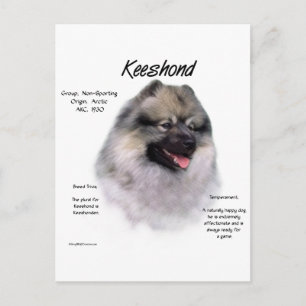 Keeshond History Design Briefkaart