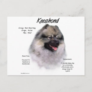 Keeshond History Design Briefkaart
