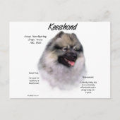Keeshond History Design Briefkaart (Voorkant)