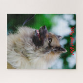 Keeshond hond. legpuzzel (Horizontaal)