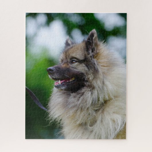 Keeshond hond. legpuzzel (Verticaal)