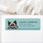 Keeshond-hond retouradreslabels etiket (Insitu)