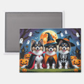 Keeshond Honden Pompoen Halloween Grappig Magneet (Voorkant / Achterkant)