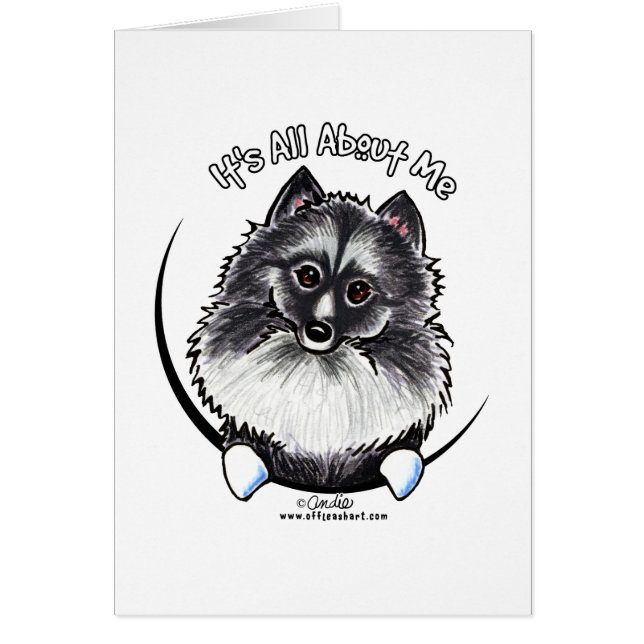 Keeshond IAAM (Voorkant)