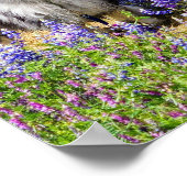 Keeshond in de Lupine Bloom Poster (Hoek)