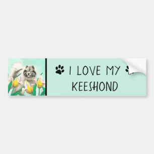 Keeshond in Tulips Painting Original Dog Art Bumpersticker