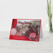 keeshond Kerstmiskaarten Feestdagen Kaart (Voorkant)