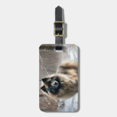Keeshond Laat het Sneeuwen Kerstmis Bagagelabel (Voorkant verticaal)