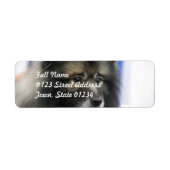 Keeshond Mailing Labels (Voorkant)