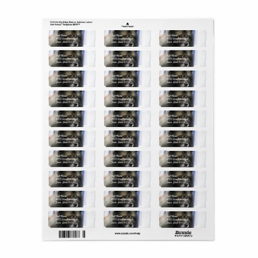 Keeshond Mailing Labels (Full Sheet)