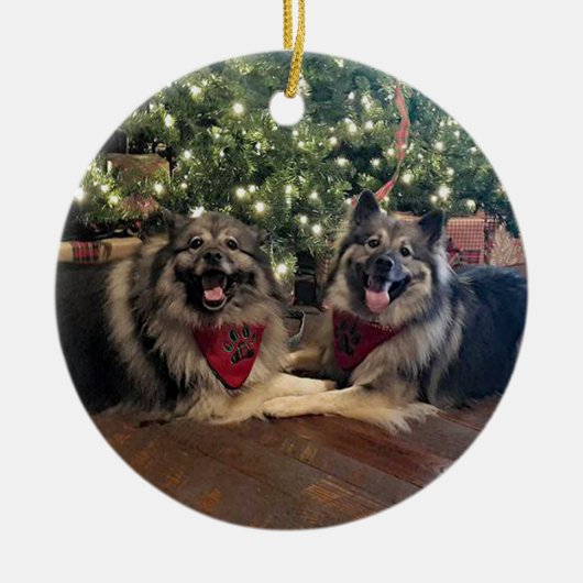 Keeshond met kerstboom keramisch ornament (Voorkant)