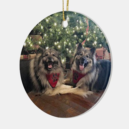 Keeshond met kerstboom keramisch ornament (Links)