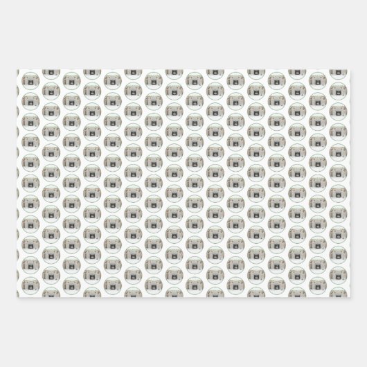 Keeshond met Kerstmis Puppy Dog met Fireplace Pain Inpakpapier Vel (Voorkant 2)