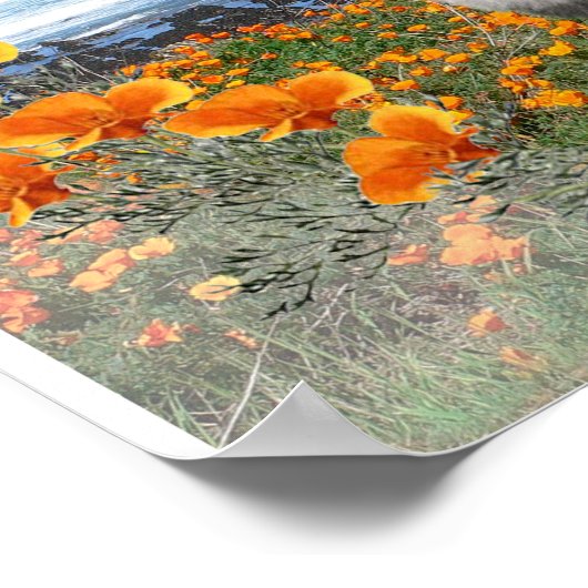 Keeshond National logo poster (Hoek)