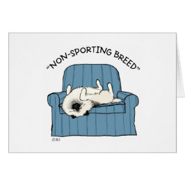 Keeshond "Niet-sportief ras"