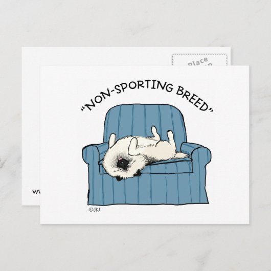 Keeshond "Non-Sporting Breed" Briefkaart (Voorkant / Achterkant)