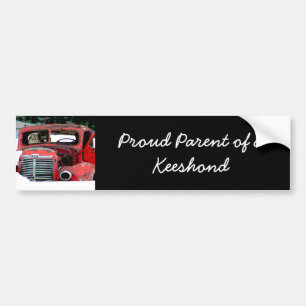 Keeshond Old Truck Paing Art Bumpersticker
