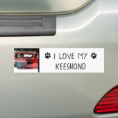 Keeshond Old Truck Paing Art Bumpersticker (Op auto)